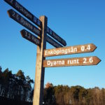 Nystart satsar på lokala frågor