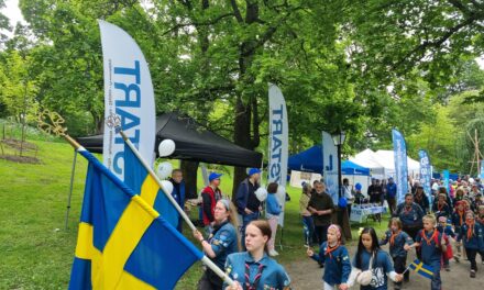 Full fart i Skolparken på Nationaldagen