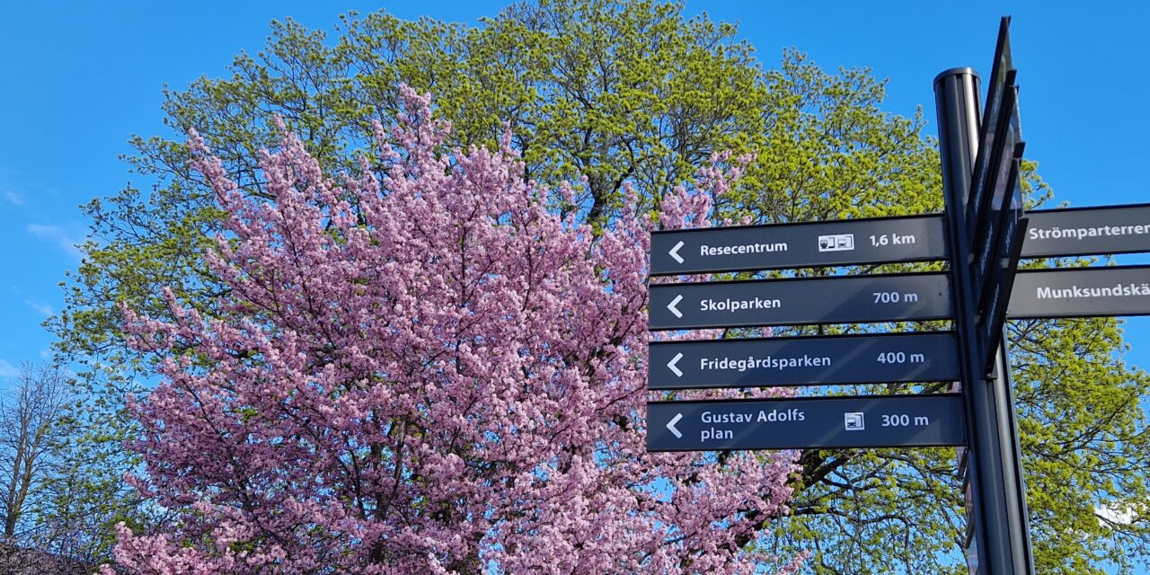 Vinn med din bästa blomsterbild!